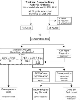 The Peripheral Blood Transcriptome Is Correlated With PET Measures of Lung Inflammation During Successful Tuberculosis Treatment